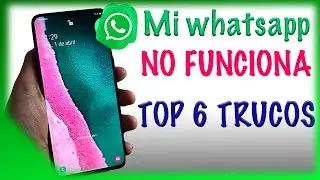 My WhatsApp isn't working or responding. Tips and troubleshooting