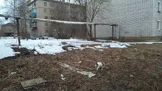 18+ глубокая мысль!