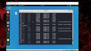 netstat kali linux