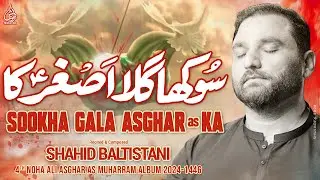 Shahid Baltistani Nohay 2024 | Sookha Gala Asghar Ka | Noha Ali Asghar as | Muharram 2024 / 1446