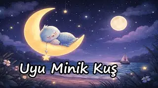 Uyu Minik Kuş | Bebek Ninnisi 🌙 | Sakinleştirici Uyku Şarkısı