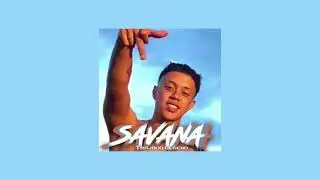 Teto - Savana