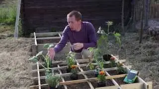 Comment organiser un carré potager ?
