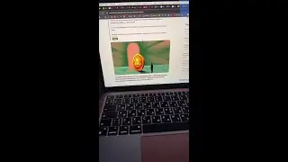 Это отсеет 60% игроков Хамстер Комбат #хамстеркомбат #hamstercombat