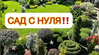 ‼️GARDEN FROM SCRATCH‼️ PLANTING MISTAKES. Analyzing my garden