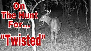 Whitetail Hunting for a Buck Named “Twisted” and This Happened! PA Archery Season 2024
