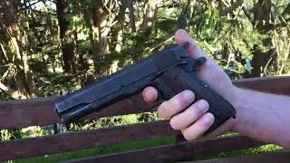 Kot and 1911 pistol
