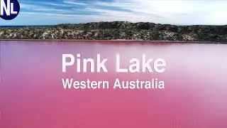 Pink Lake Western Australia (Drone Shots)