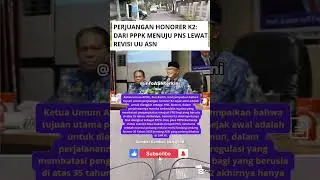 Perjuangan Alih Status PPPK Menjadi PNS Melalui Peluang Revisi UU ASN 
