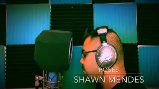 Roses - Shawn Mendes