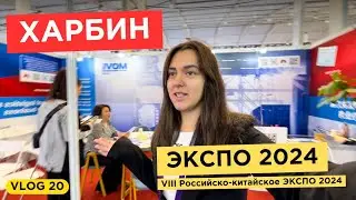 ХАРБИН | РОССИЙСКО-КИТАЙСКОЕ ЭКСПО 2024 | бизнес КИТАЙ | участие в выставке