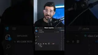 Look at my pets in VS code🥲! 