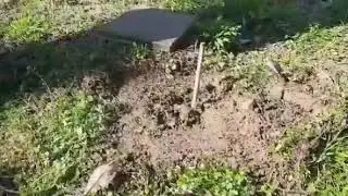 İlkel avlanma yöntemleri