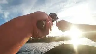 Pike Fishing In a Local Lake