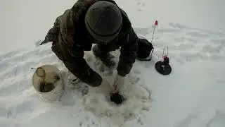 Рыбалка на лесном озере жерлицами.
