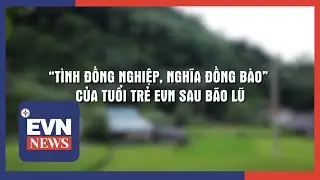 “TÌNH ĐỒNG NGHIỆP, NGHĨA ĐỒNG BÀO” CỦA TUỔI TRẺ EVN SAU BÃO LŨ