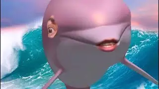 🐬DOLPHIN 🐬BEATBOX 🌊