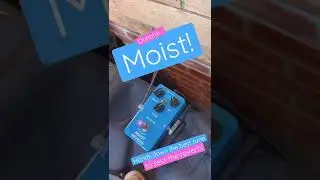 THE best way to test REVERB! 
