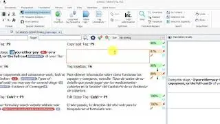Manejo de etiquetas en MemoQ