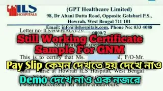 Still Working Certificate Sample For Nurses || Pay Slip Sample For GNM