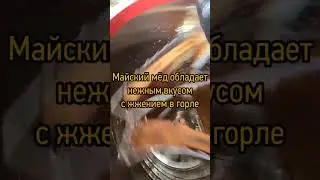 Качаем майское золото в Подмосковье #bienenhaus #пасека #пчеловодство #пчёлы #мед #ульи #откачка