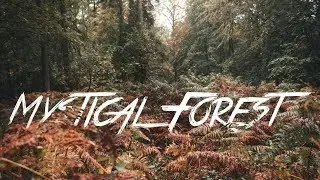 Fall season