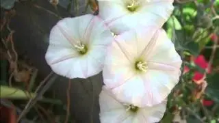fotos de la Naturaleza