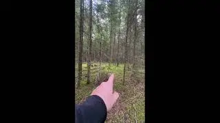 Грибной рай 2023 #грибы