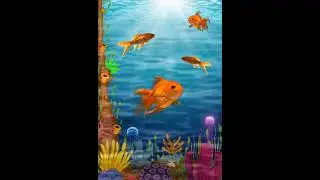 Beautiful fish