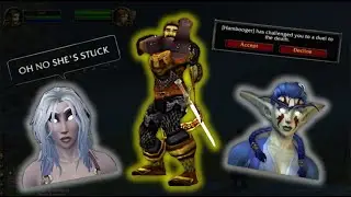 A Paladin's Dream Turns to Nightmare: The Night Elf Death Race to Ironforge -- Hardcore WoW