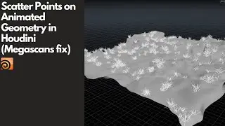 Scattering Points on Animated Geometry (Megascans fix) - Houdini