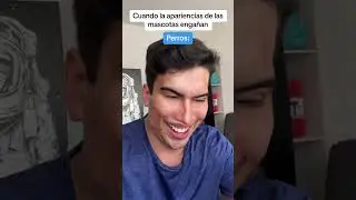 Por eso no confio en los gatos