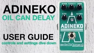 ADINEKO Controls Dive Down