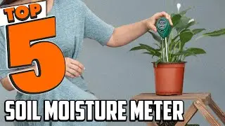 Best Soil Moisture Meter In 2025- Top 5 Soil Moisture Meters Review