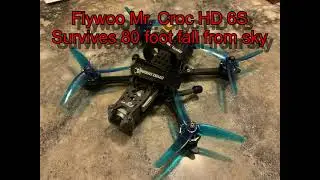 Flywoo Mr. Croc Survives 80 Foot Failsafe