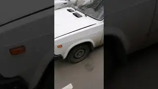 1 ноября 2020 г.