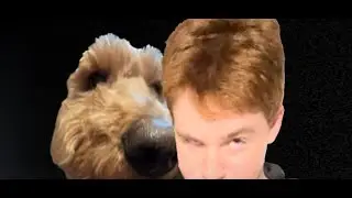 What is this fnaf game bro :sob: | Five Nights at Roner