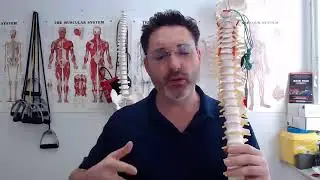 Back Pain During Pregnancy