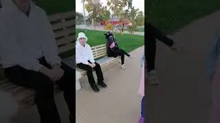 Маффин скучно
