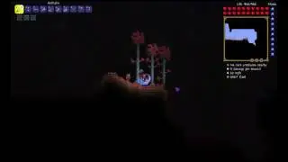 Terraria & QnA (Part 4)