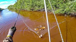 YOU HAVE NEVER SEEN FISHING LIKE THIS WITH SPIDER!!! FISH EVERY RISE! Fishing 2025