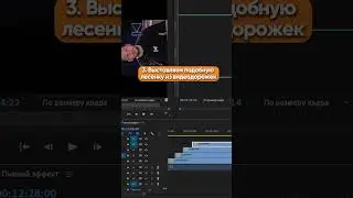 Простой и Красивый Эффект в PREMIERE PRO