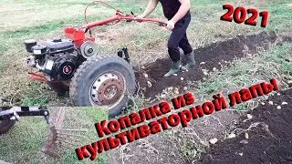 Веерная копалка своими руками.Лучший вариант из культиваторной лапы.Копаем картофель мотоблоком ЗИД