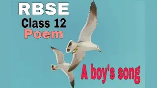 A boy’s song |RBSE Class 12