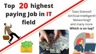 The top 20 highest paying IT jobs in the world | Top 20 Jobs of IT Industry