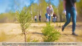 Высадили сто саженцев в рамках всероссийской акции «День посадки леса» // VDVSN.RU