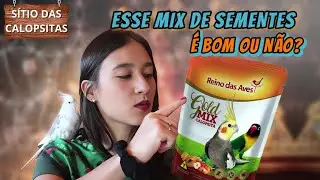 MIX DE SEMENTES / REINO DAS AVES
