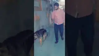 dill tera  naal laya teri care krn gy