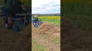 МОТОБЛОК МТЗ БЕЛАРУС, УБОРКА СОЛОМЫ 