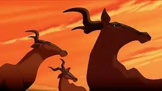 The Circle Of Life EDM Remix by THEDISNEYLANDERS